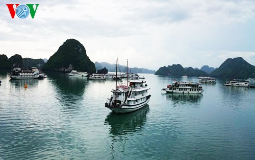 Seminar zur Erhaltung des Weltnaturschatzes Ha Long-Bucht - ảnh 1